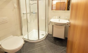 A bathroom with a glass-enclosed shower, a toilet, and a sink. - THREE-BEDROOM ZERMATT RETREAT WITH VIEWS OF VILLAGE & MATTERHORN (Zermatt)