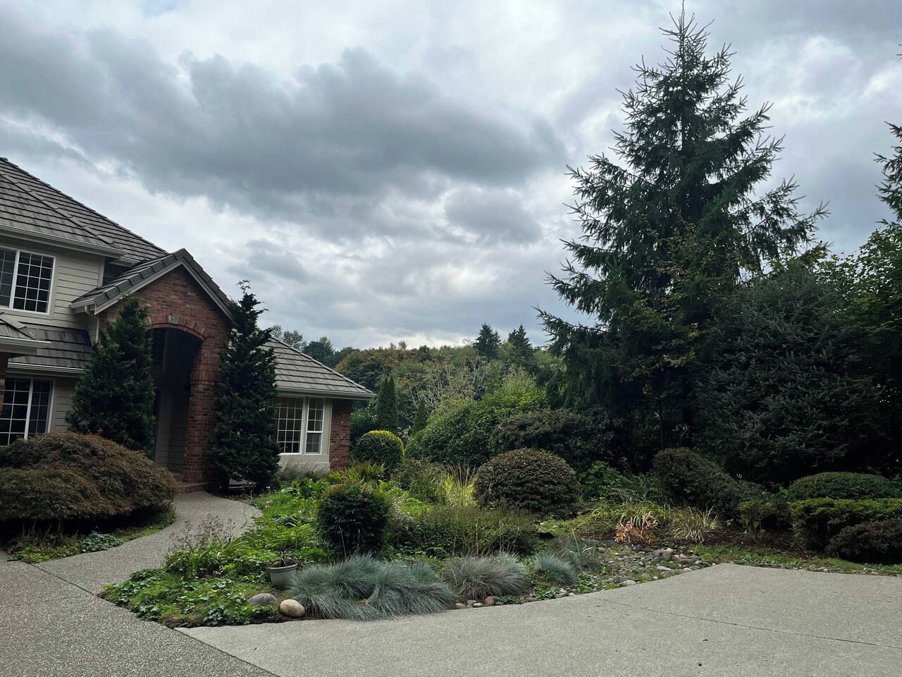 A residential property with a brick entrance, a driveway, and a variety of landscaped gardens including shrubs and a large coniferous tree.