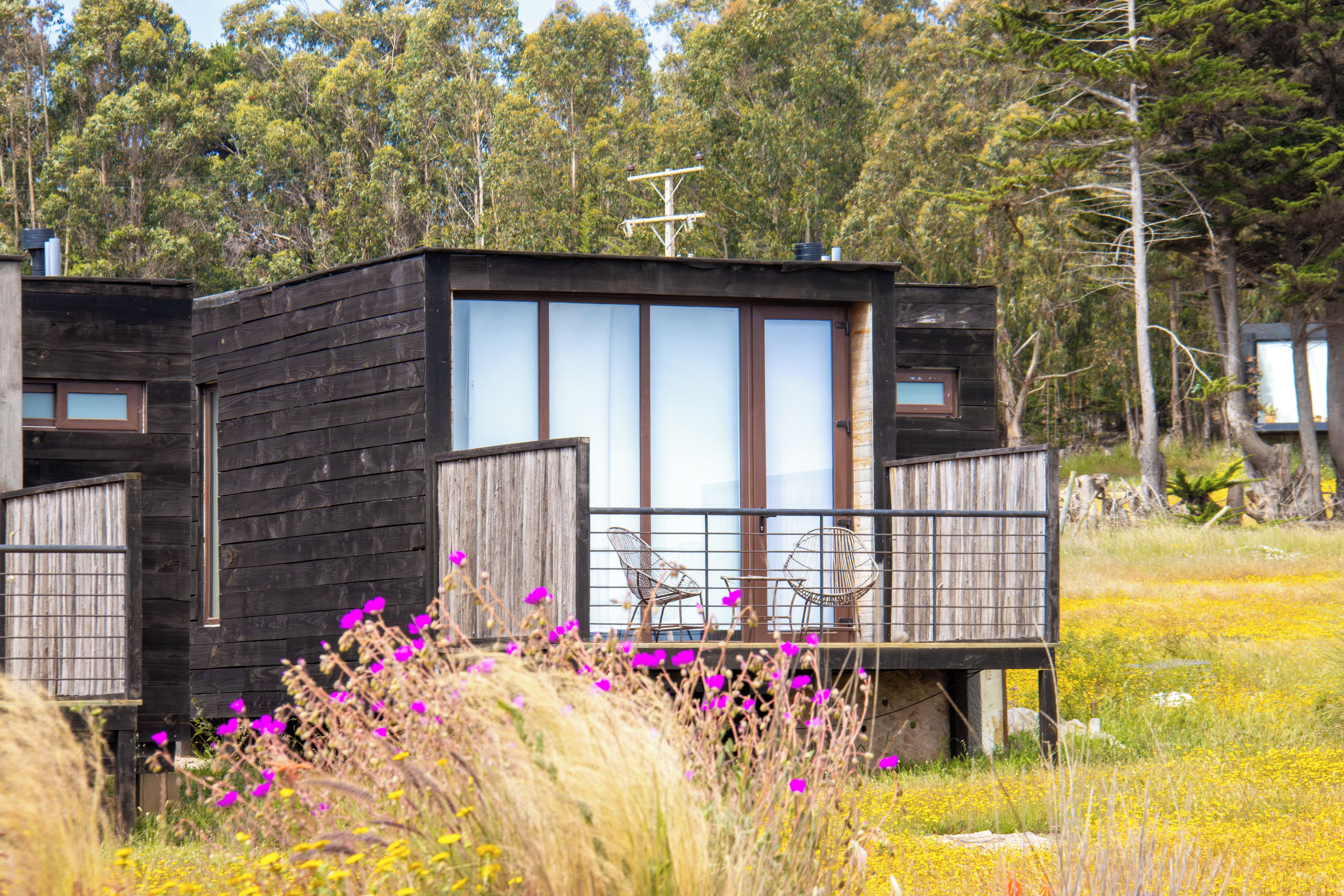 A wooden cabin with a balcony, surrounded by wildflowers and trees.