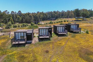Una hilera de cabañas modernas con paredes de vidrio, ubicadas en un entorno natural con un bosque al fondo.
