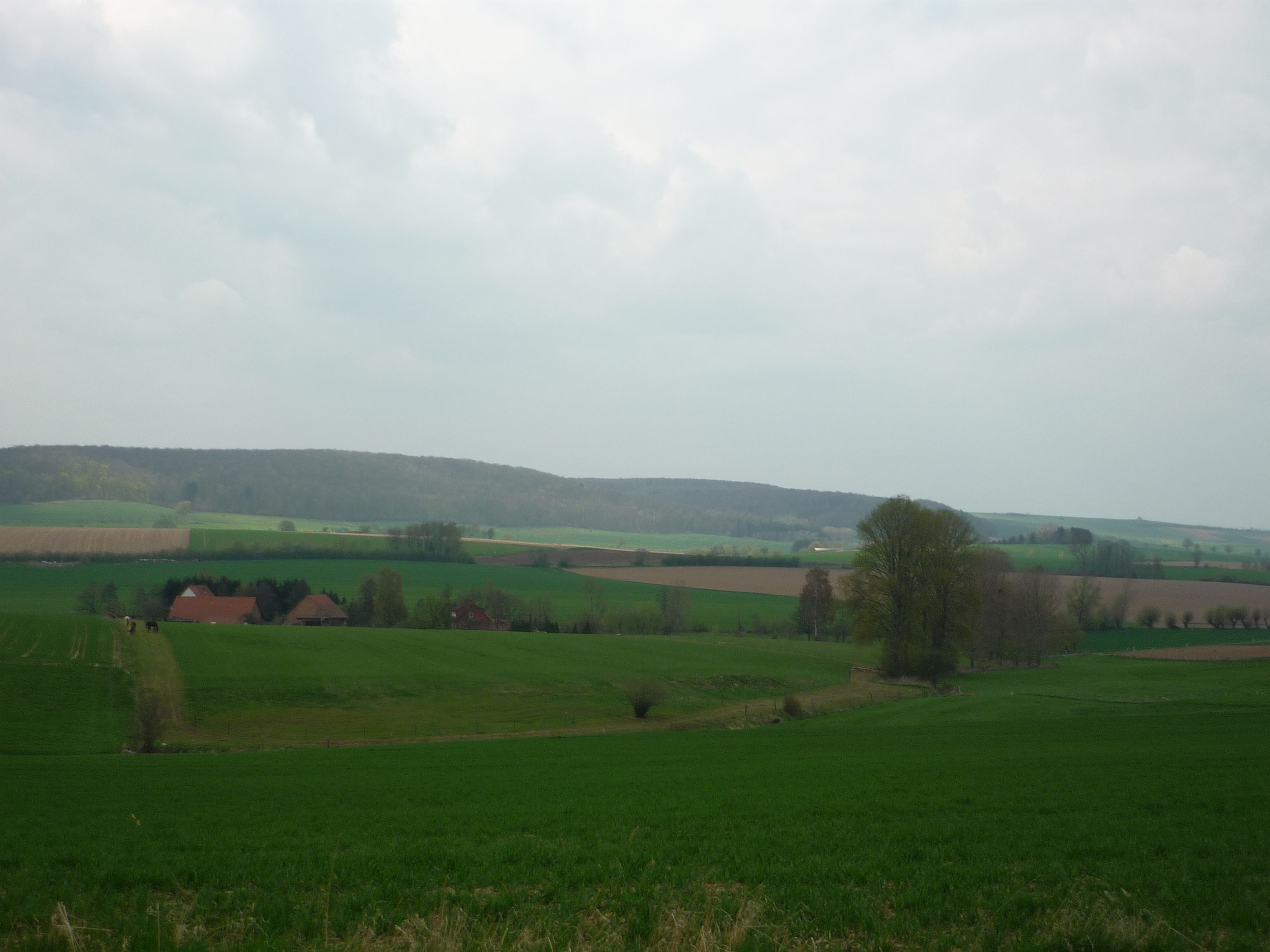 Ländliche Landschaft mit Feldern, einigen Häusern und einem Hügel in der Ferne.