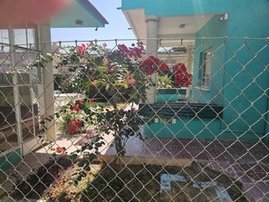 A fenced garden area with flowering plants and a building in the background. - Two-story home ideally located in Oaxaca'sHistorical District (Oaxaca de Juárez)