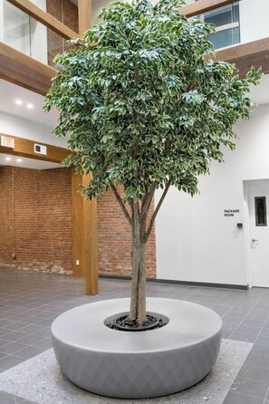 Un arbre en pot dans un hall d’entrée moderne, avec un mur en briques et une porte portant l’inscription « SALLE DES COLIS ».