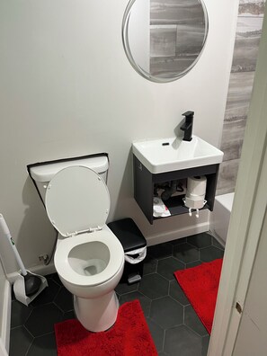 A bathroom with a toilet, a sink, and a mirror. - Charming 3bedroom apartment with AC in vibrant Omaha 5 minute walk from downtown (Omaha)