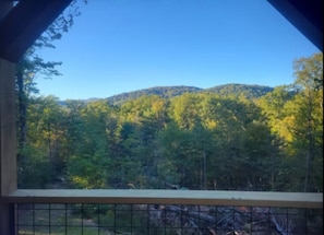 A view from a window overlooking a forested hillside.