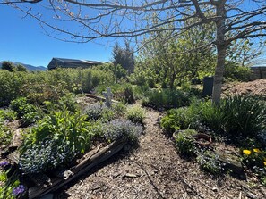 A garden with a variety of plants and flowers, a wooden path, and a statue.