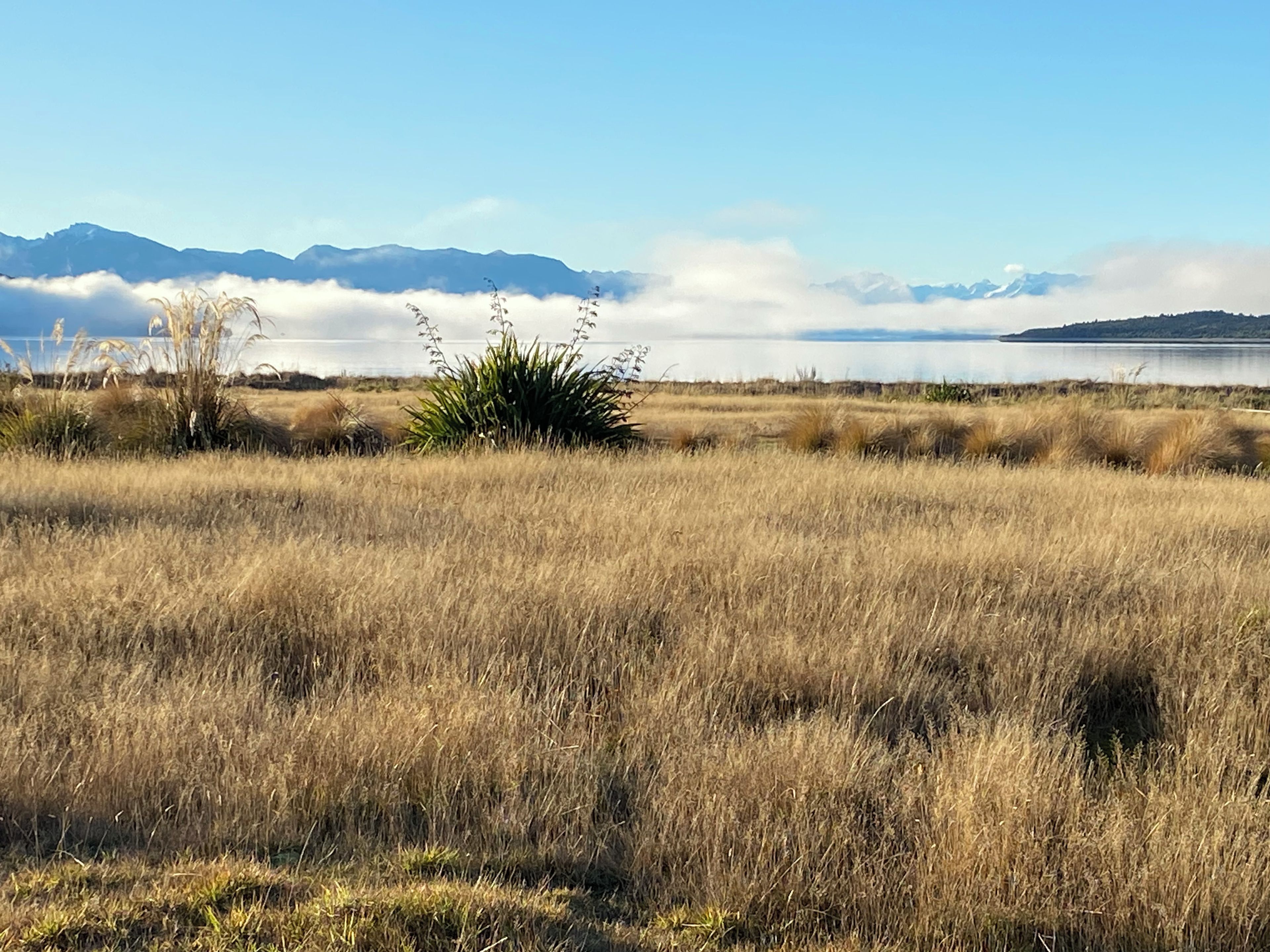 A natural landscape with a body of water, mountains, and dry grass.