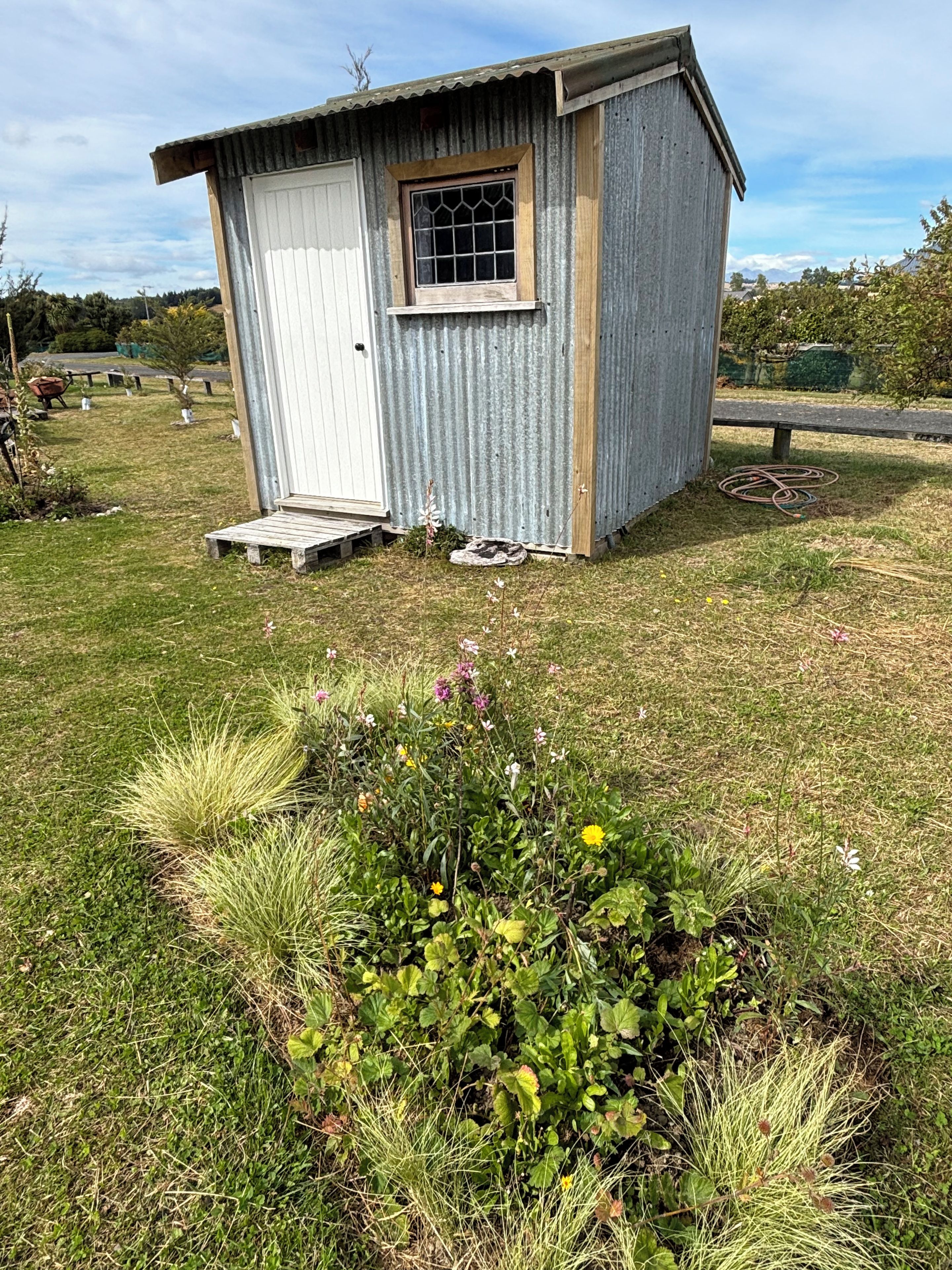 A small, single-story metal shed with a window and a door, situated on a grassy area with a garden bed in the foreground.