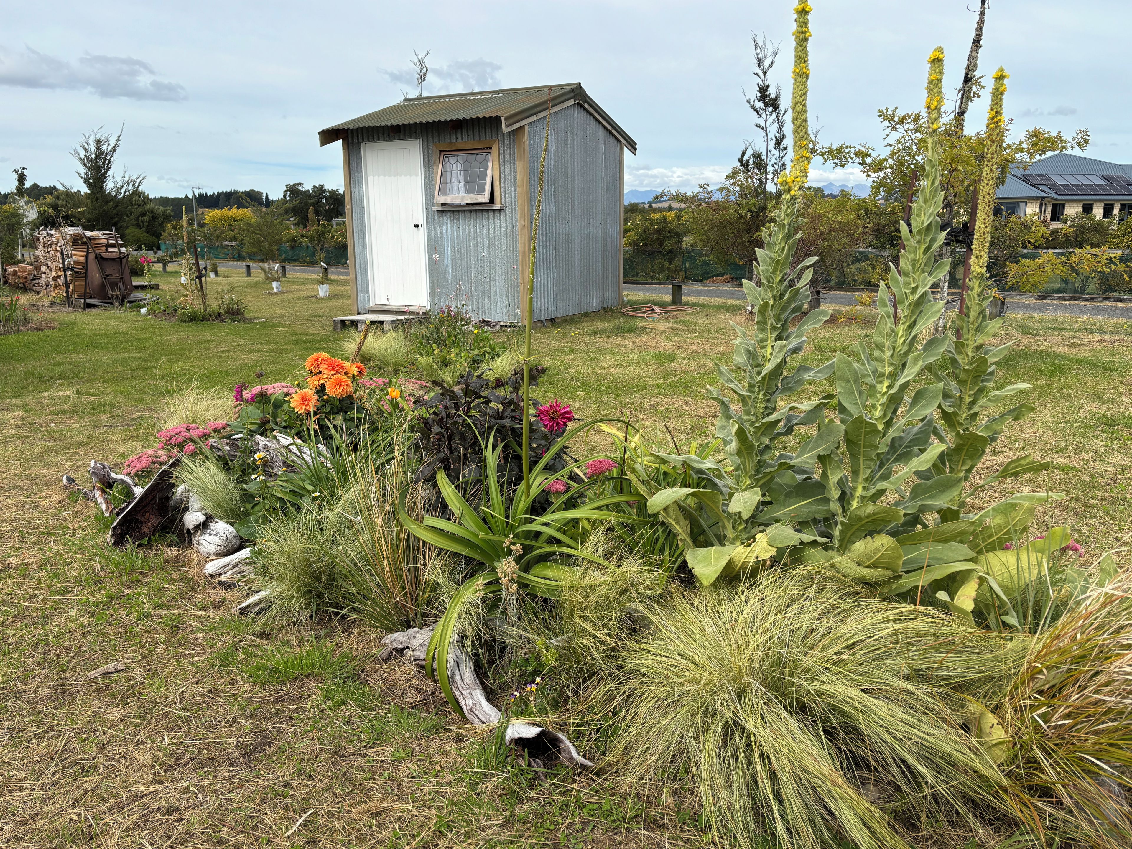 A rustic shed with a corrugated metal exterior and a small window, surrounded by a garden with various plants and flowers.