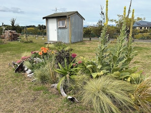 Een rustieke schuur met een golfplaten gevel en een klein raam, omgeven door een tuin met diverse planten en bloemen.