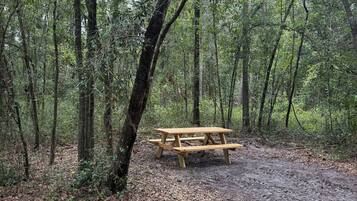 A forested area with a wooden picnic table surrounded by trees.