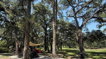 A park with trees, a gravel area, and a red vehicle.