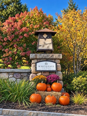 A stone sign with 'WHITEFACE LODGE' and 'LAKE PLACID - NEW YORK' text, surrounded by autumn foliage and pumpkins.