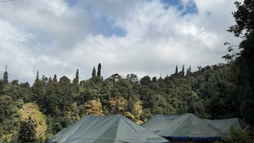 Varias yurtas con un sendero de piedra que las conecta, rodeadas por un cerro boscoso.