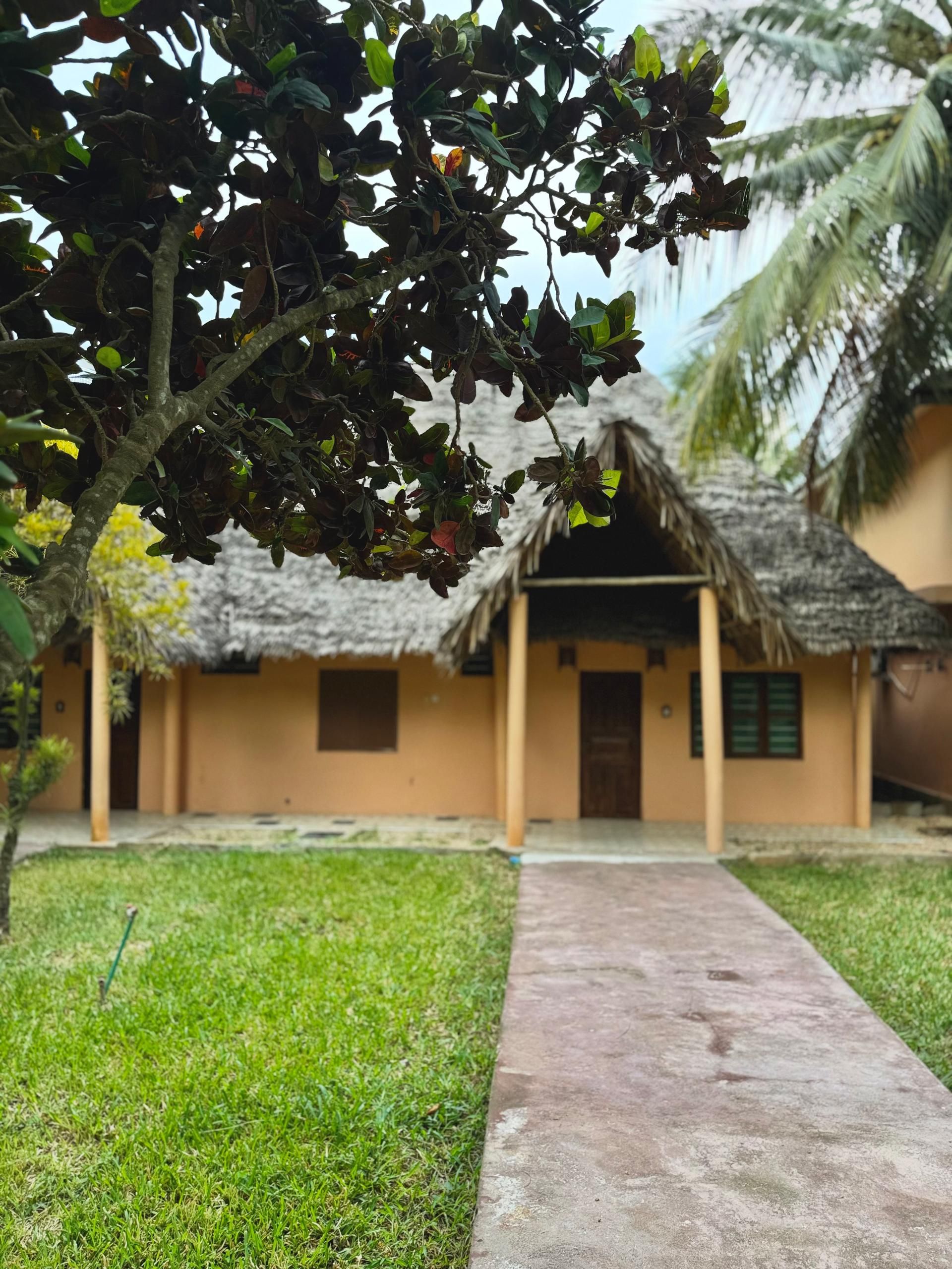 A thatched-roof building with a paved walkway leading to it.