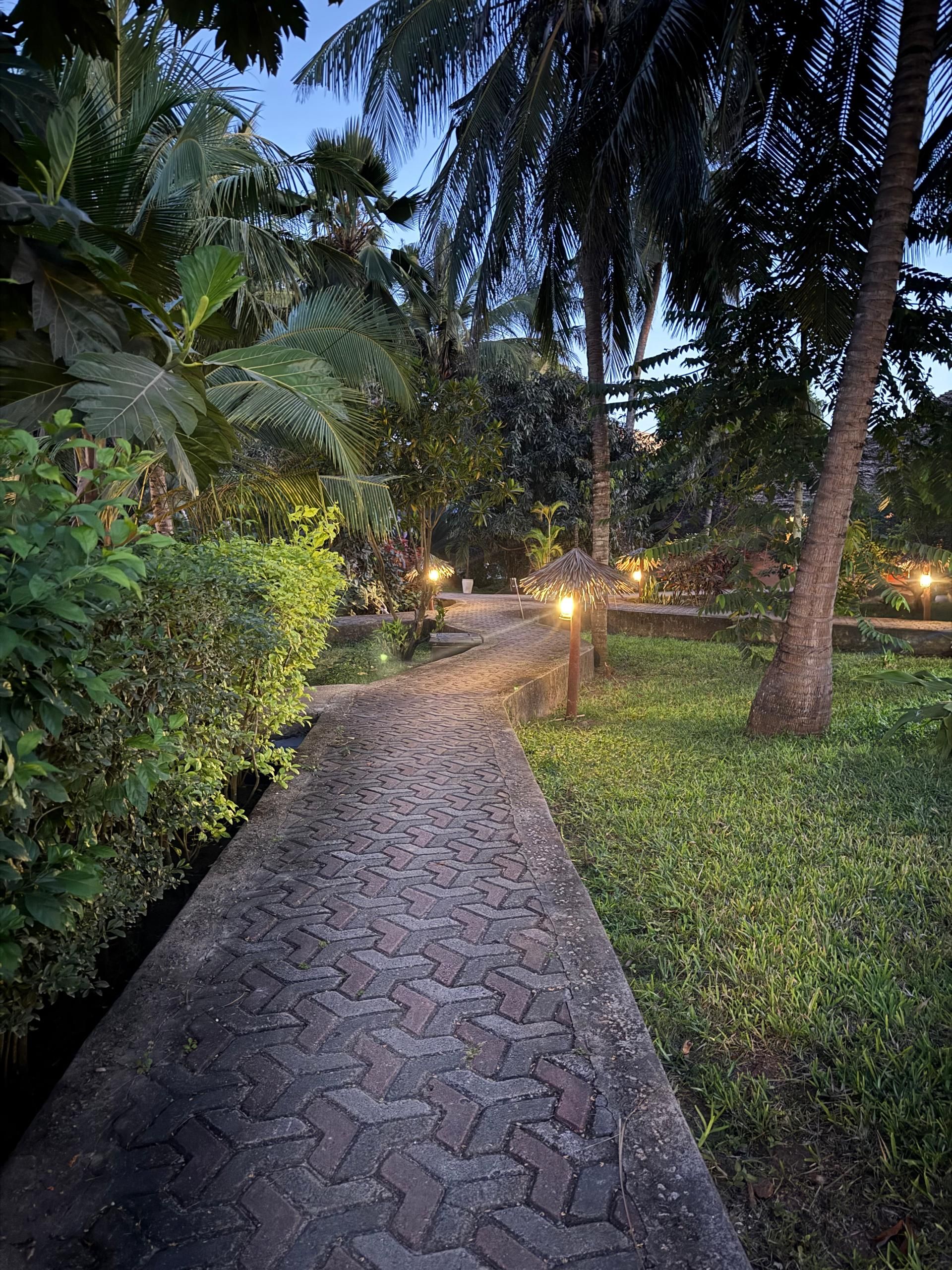 Un chemin pavé dans un jardin, agrémenté de palmiers et de verdure.