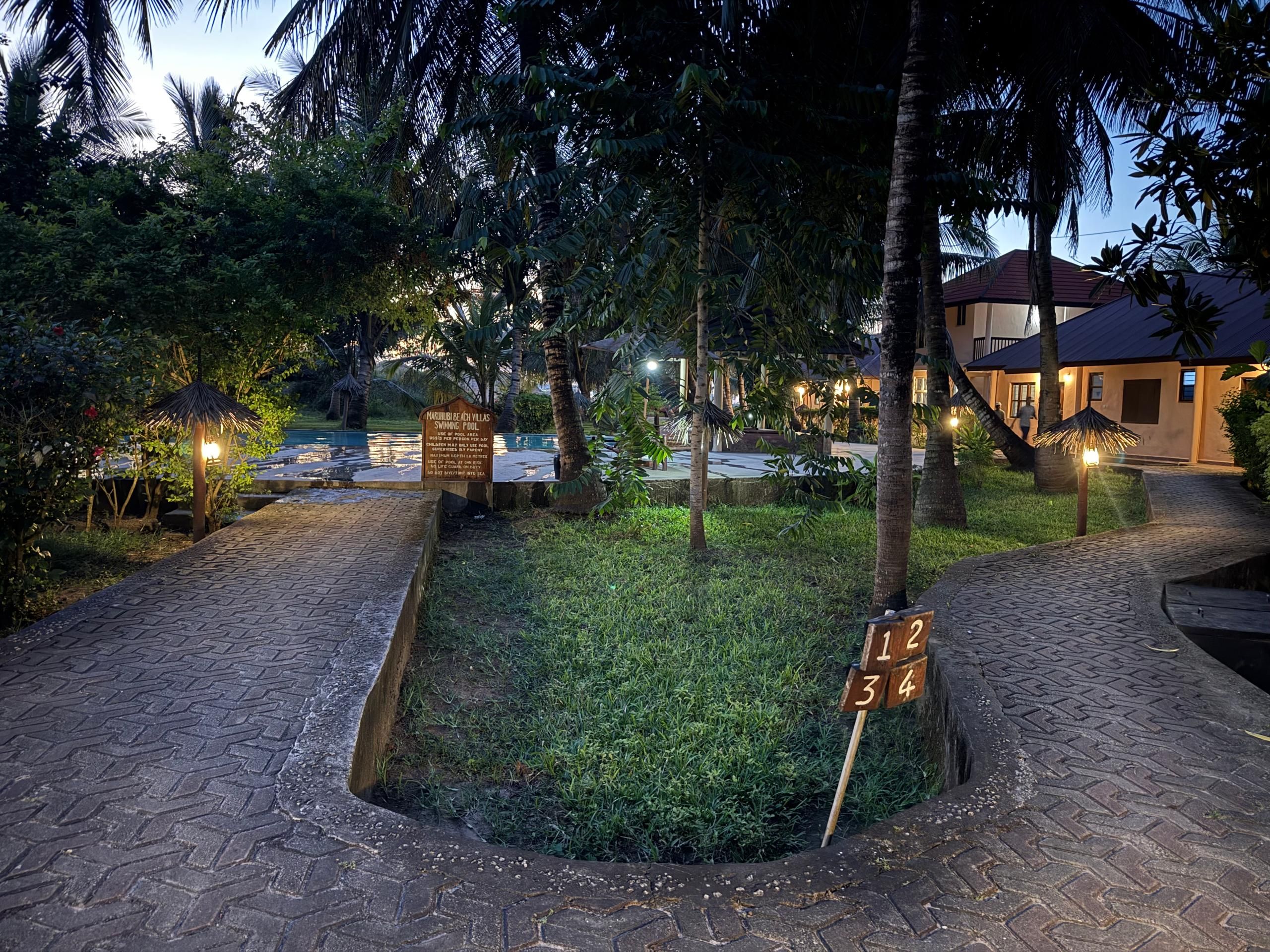 A well-lit outdoor area with a swimming pool, palm trees, and a paved walkway.