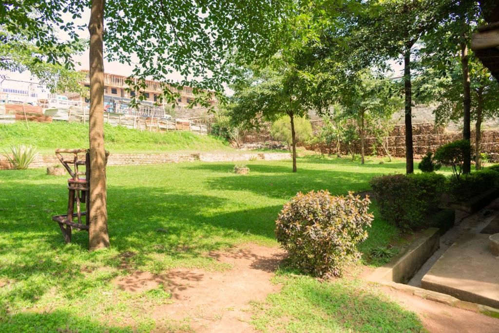 A grassy outdoor area with a wooden bench, a small bush, and a paved path.