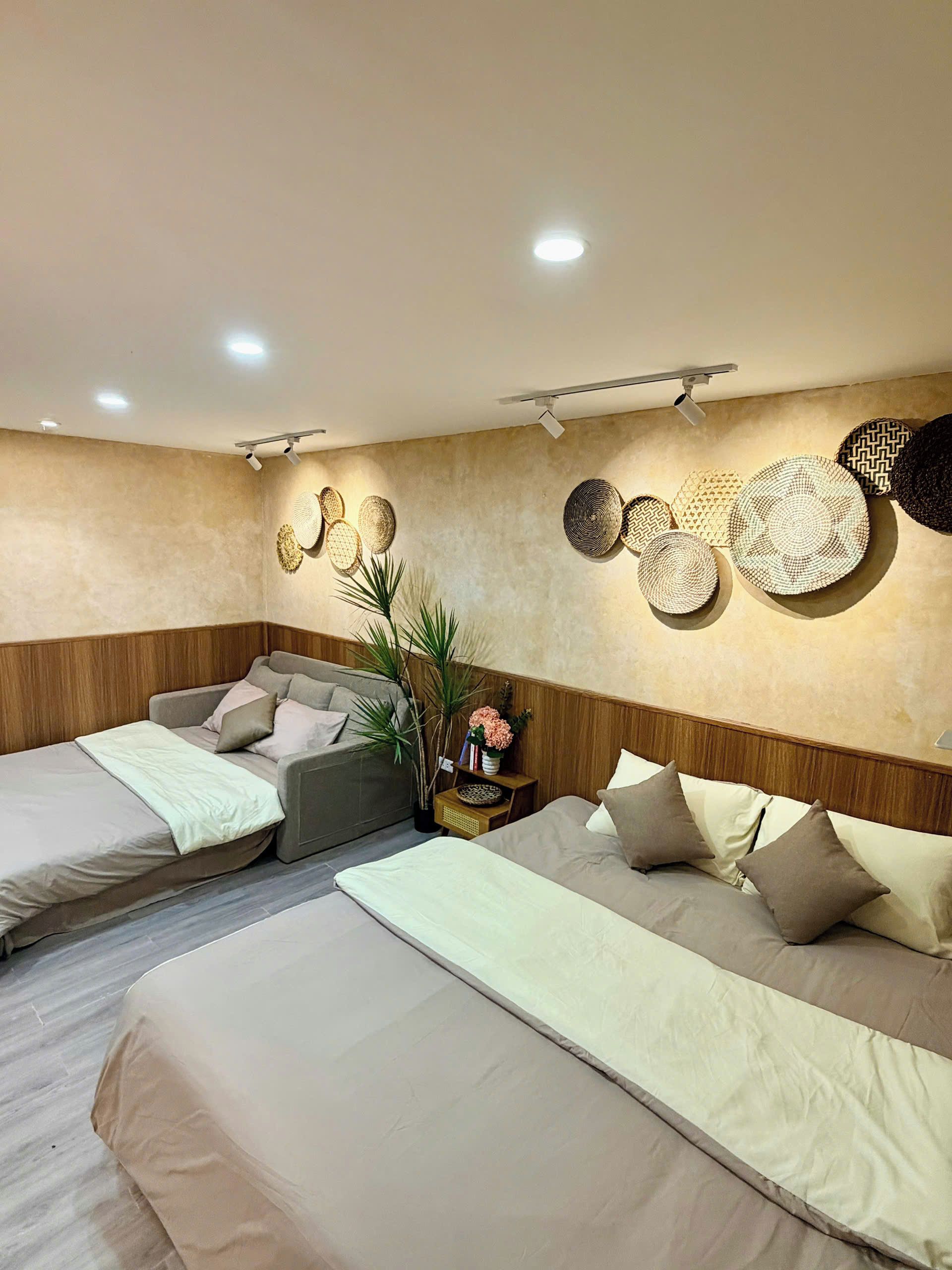A hotel room with two beds, a wooden headboard, a small side table with a plant, and wall-mounted woven baskets.