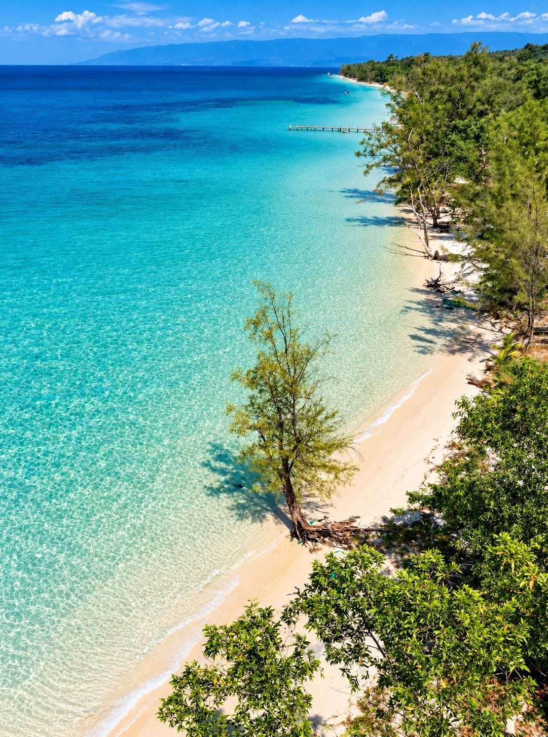 A beach with clear turquoise water, a sandy shore, and dense greenery.