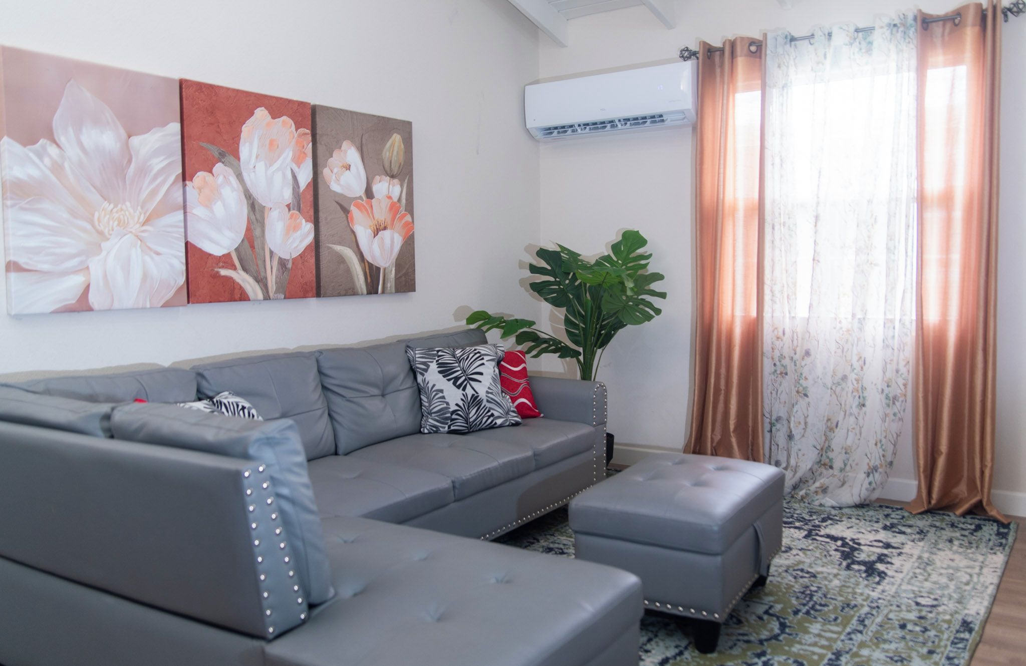 Un salon avec un canapé gris, une grande plante en pot et un tapis à motifs.
