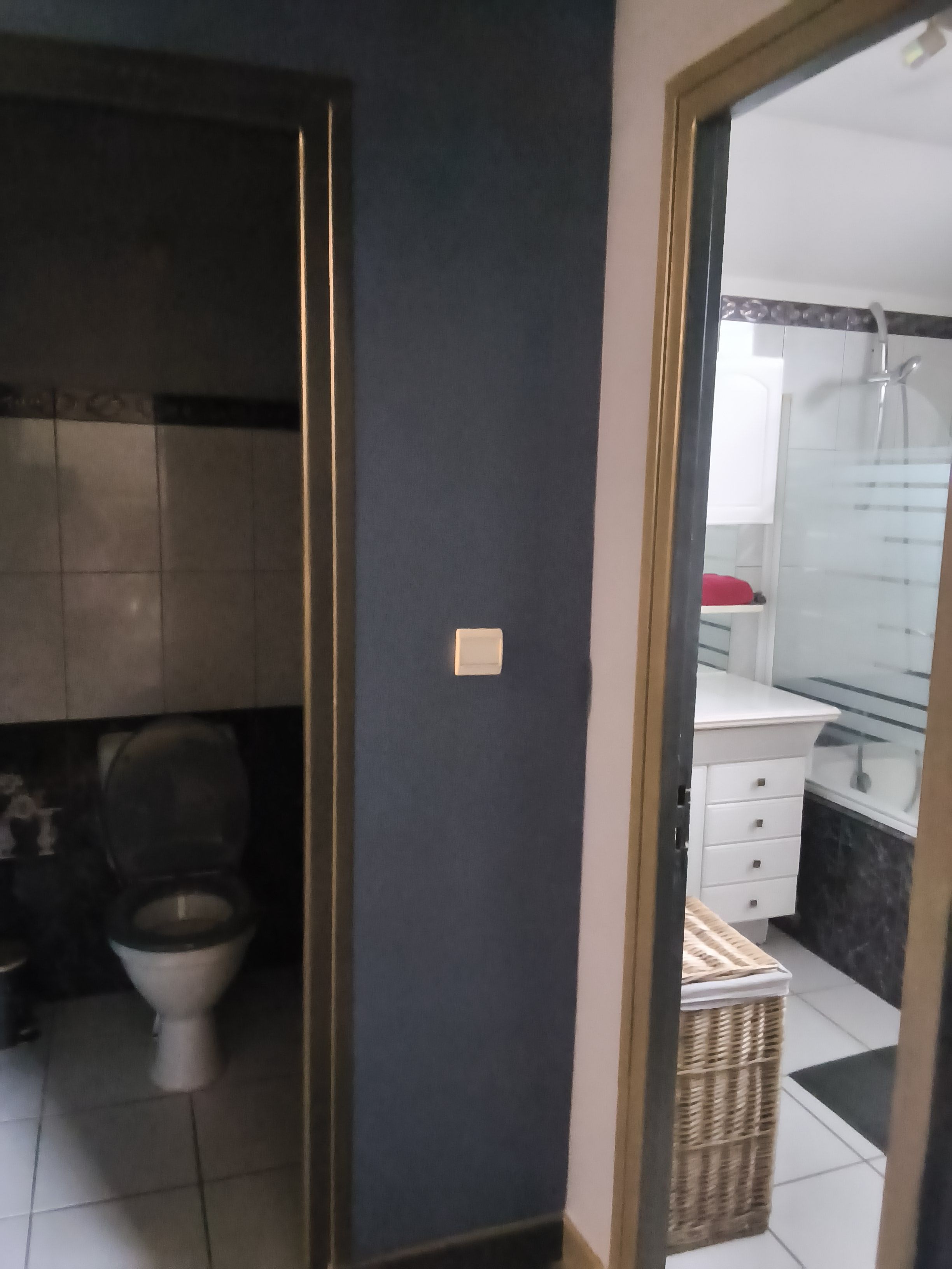 A bathroom with a toilet, a sink, and a shower area.