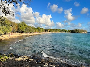 A beach with clear water, a sandy shore, and a forested area in the background. - New Listing (Sainte-Luce)