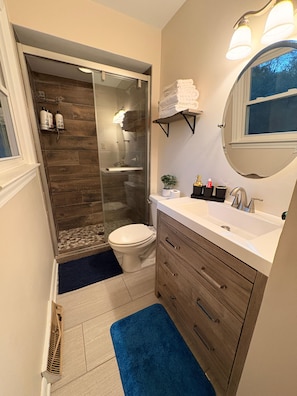A bathroom with a shower, toilet, sink, and a blue rug.
