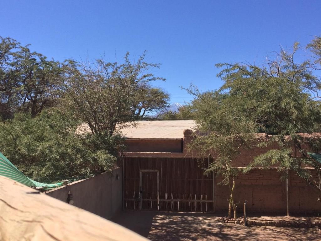 A courtyard with a building, trees, and a clear sky.