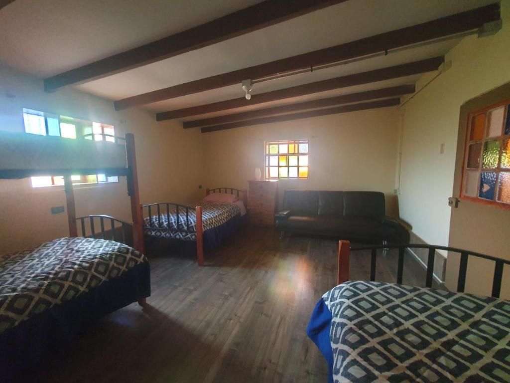 A room with bunk beds, a sofa, a window with sunlight, and a door with a colorful pattern.