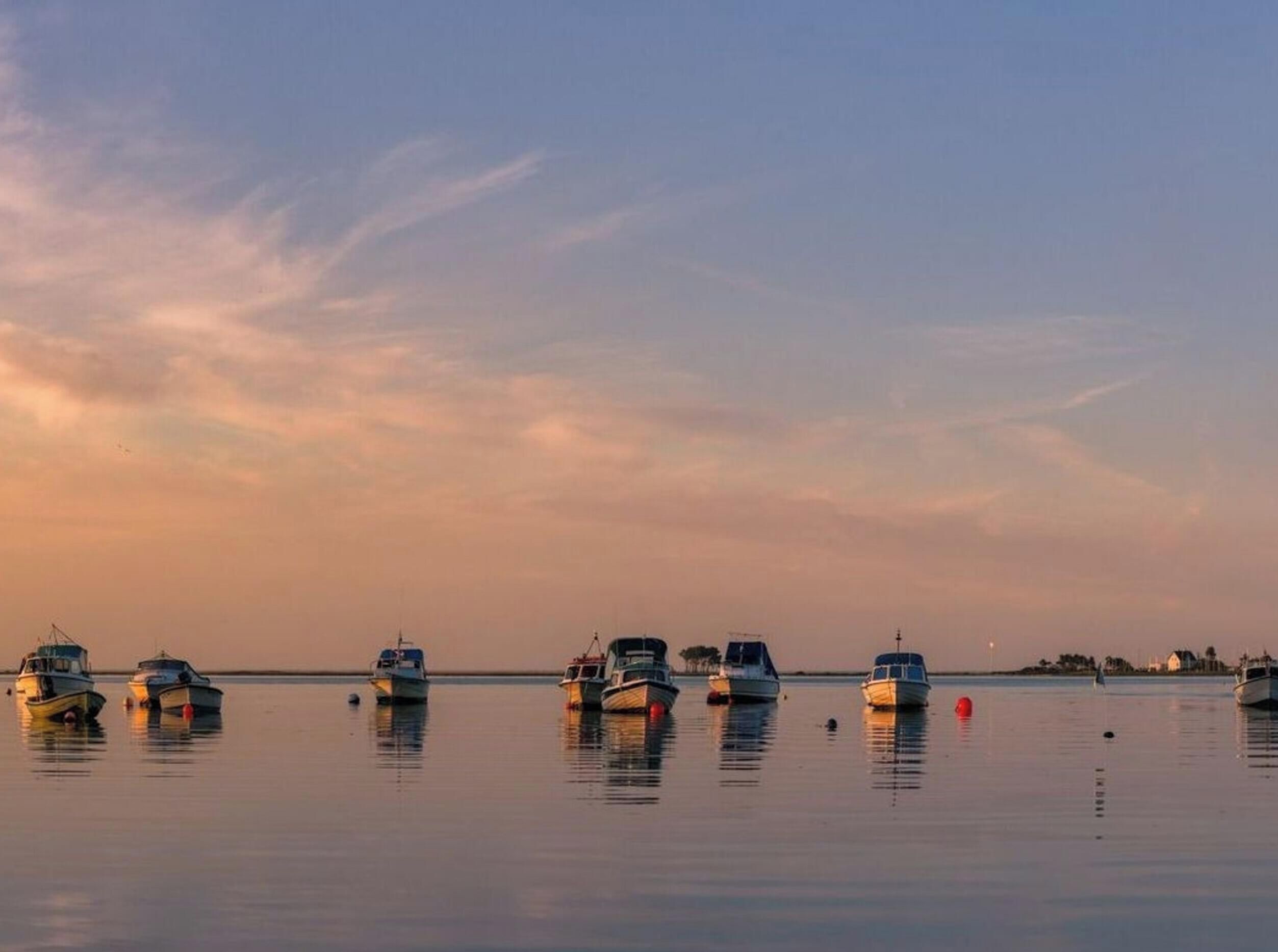Une étendue d’eau calme où plusieurs bateaux sont amarrés.