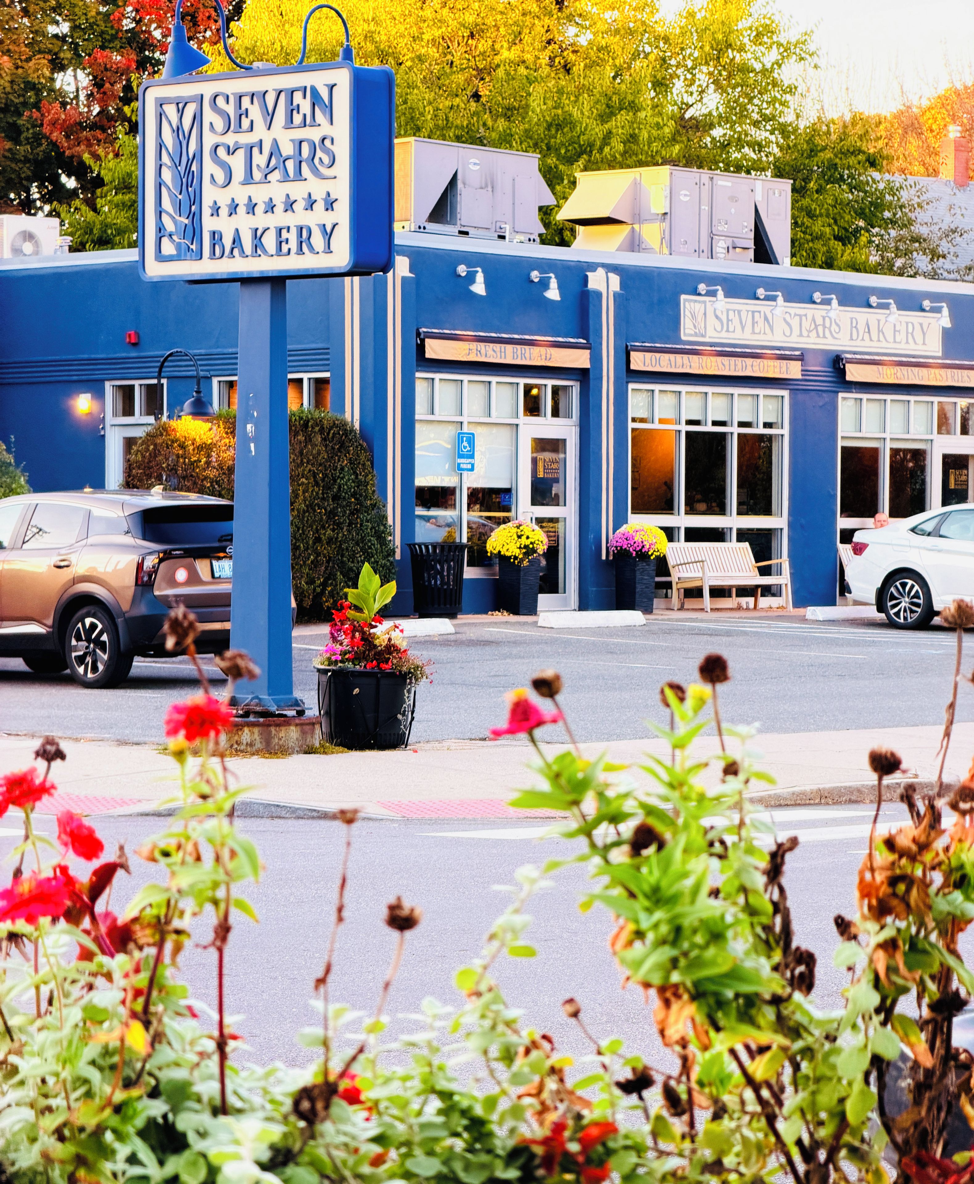 A bakery with a blue facade, a signboard, and a parking area with cars and potted plants.