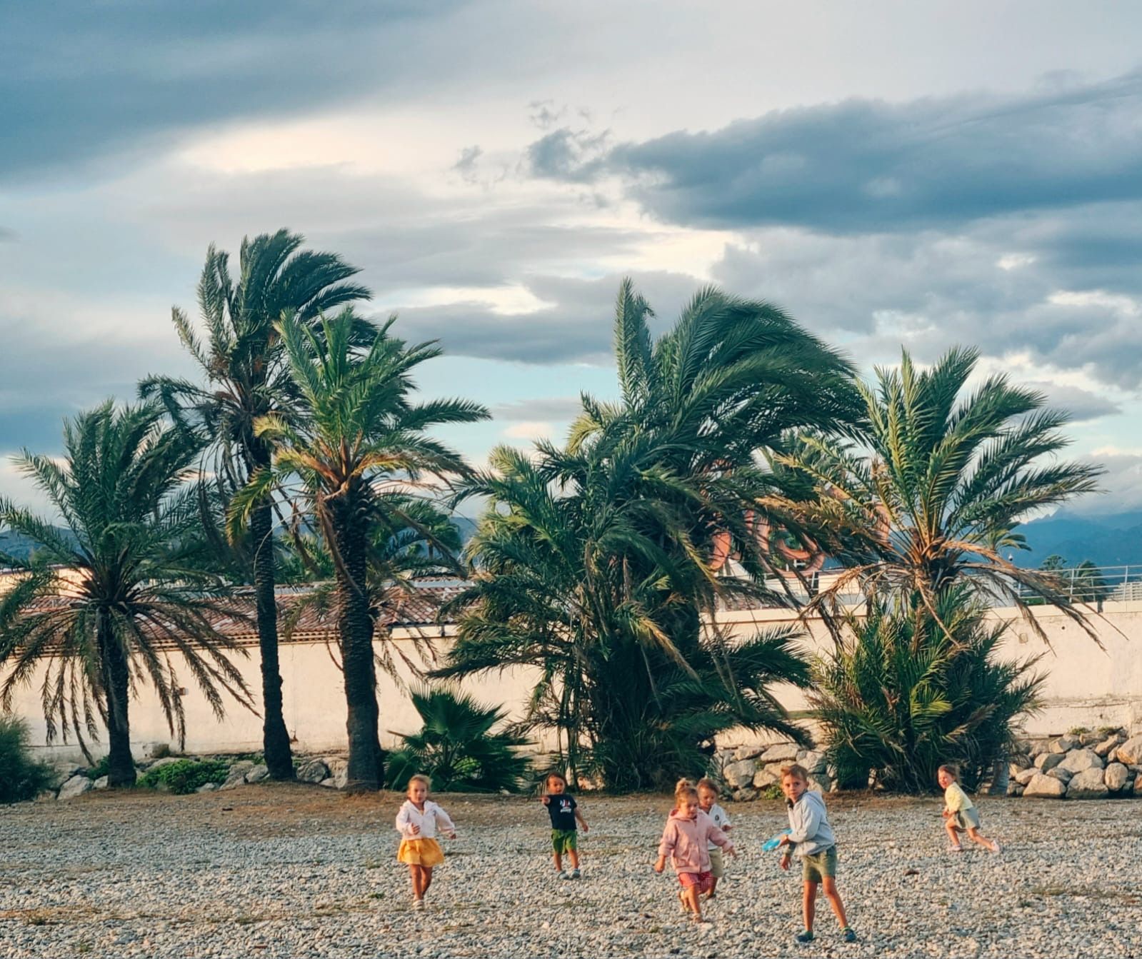 A group of children playing on a pebbled beach with palm trees and a cloudy sky.