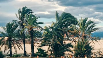 A group of children playing on a pebbled beach with palm trees and a cloudy sky.