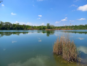 Miscellaneous - New Listing (Wien)