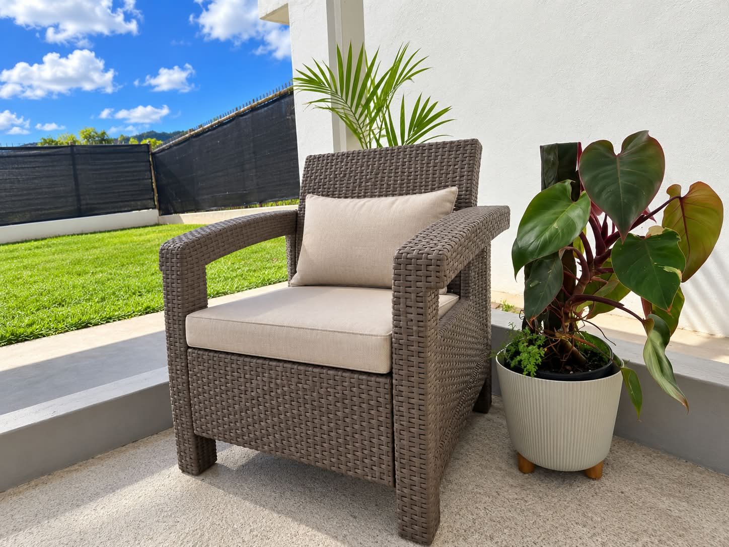 A wicker chair with a cushion on a balcony with a potted plant beside it.