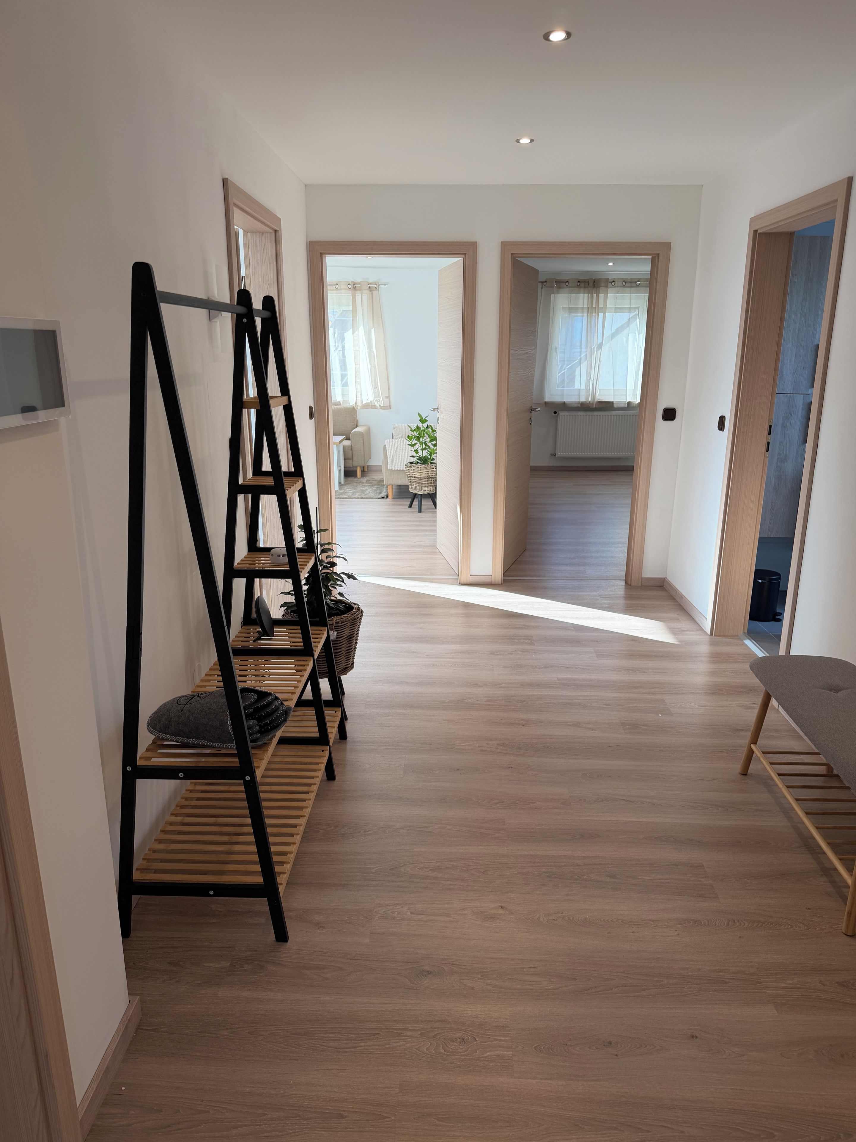 Un couloir avec un plancher en bois, une chaise en métal noir et une plante.