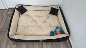 Ein quadratisches Haustierbett mit einer Noppenstruktur, zwei schwarzen Kissen und einem blauen Spielzeug aus Seil.