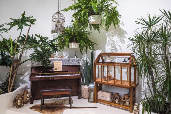 A room with a piano, a wooden bench, a glass terrarium, and various plants.