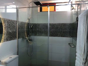 A modern shower area with a glass enclosure, a handheld showerhead, and a wall-mounted control panel. - Soul Lounge Resort (Abuja)