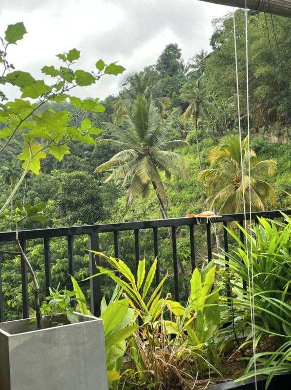 Vista desde la habitación