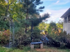 Un jardí amb una panxa, una estructura metàl·lica i un edifici al fons.