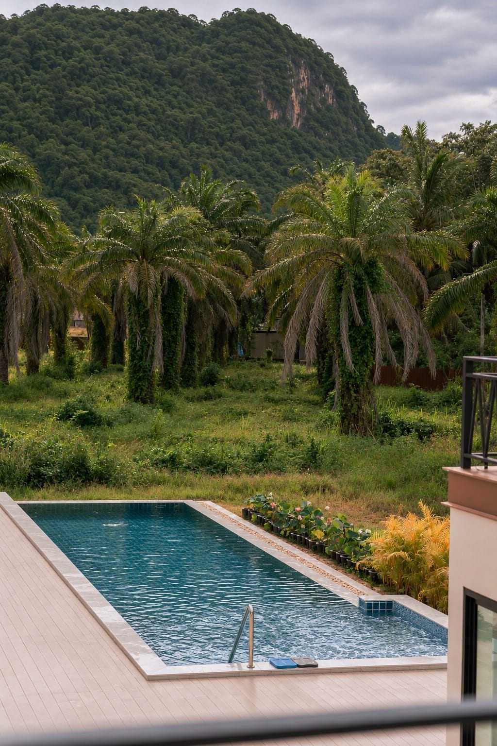 A swimming pool with a view of a mountain and palm trees.