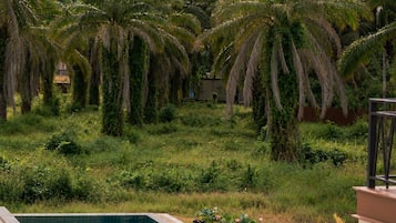 A swimming pool with a view of a mountain and palm trees.