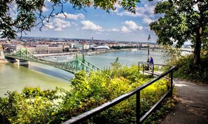 Eine grüne Brücke über einem Fluss, im Hintergrund Gebäude.