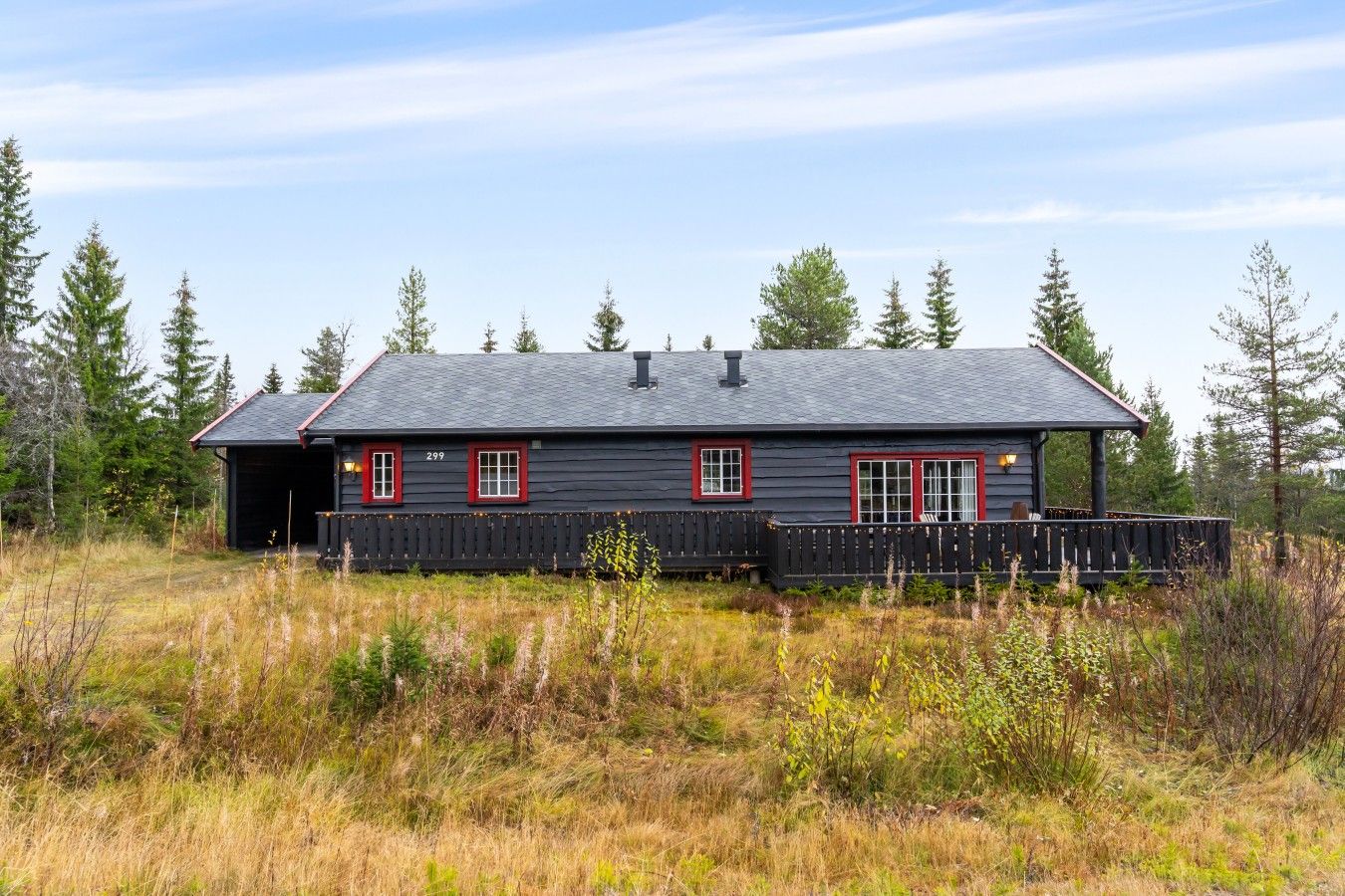 Eksteriør
