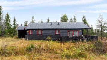 Eksteriør