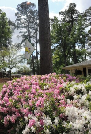 Ein Garten mit Azaleen, einer Flagge und einem Gebäude im Hintergrund.