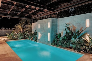 Una piscina con pared de hormigón y plantas, bajo una zona cubierta con techo metálico.