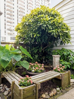 A garden with a large bush, flowering plants, and a wooden bench. - Oceanfront Studio: Boardwalk, Beach, & Pool Views
WiFi & Free Parking Included (Virginia Beach)